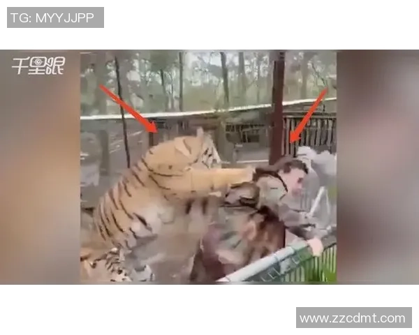 墨西哥老虎与美洲狮的生存之战谁能称霸野生动物界